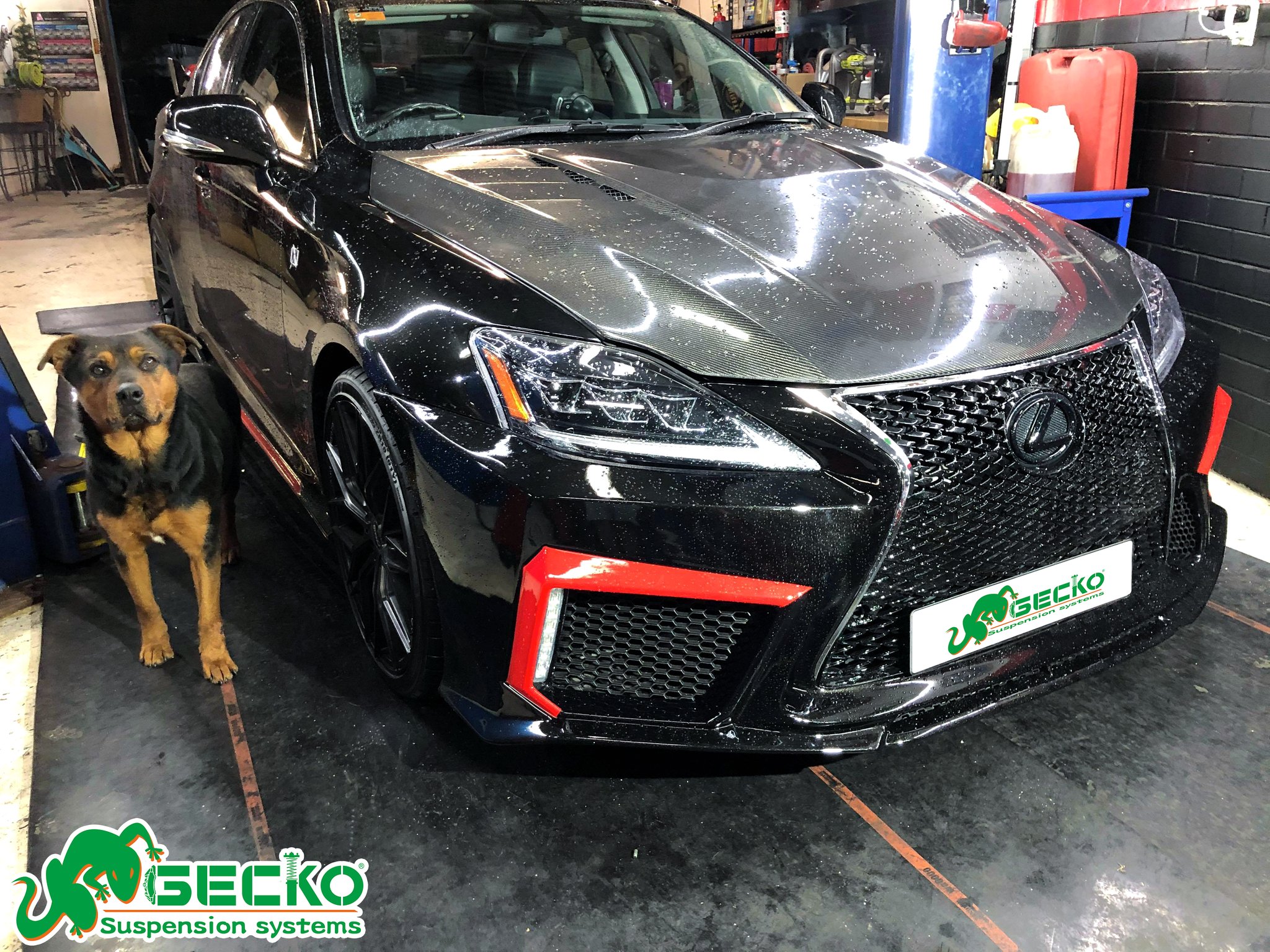 Gecko Suspension on Twitter "GeckoRacing GeckoHolic LEXUS GS300 