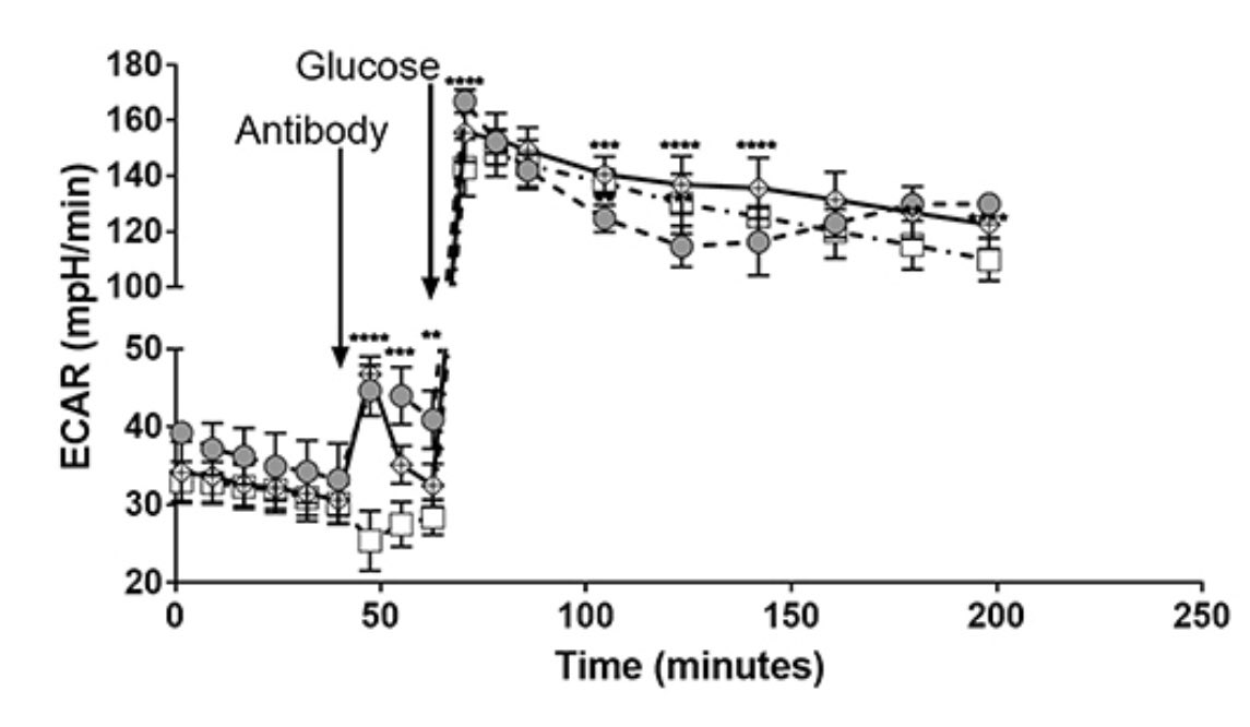 THKC1's tweet photo. Anti-MPO and anti-PR3 antibodies induce divergent metabolic effects in monocytes - a hint at the reason for the difference between #GPA and #MPA? #ANCA #vasculitis https://t.co/6xQtCmjk3b
