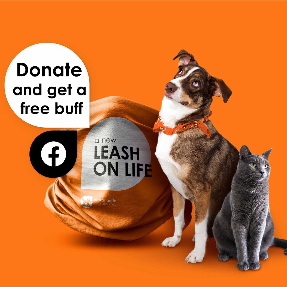 MdzanandaAnimalClini tweet media