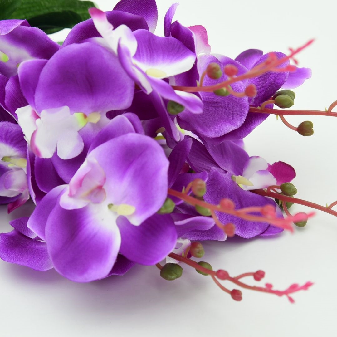 Bloemify's tweet photo. Wij zijn voor ons nieuwe platform op zoek naar bloemisten en kwekers van #bloemen, #planten, #groente en #fruit. #bloemify #buyflowersnottoiletpaper #flowers4oxygen #flowersboostchallenge https://t.co/5JAB2e8LcY
