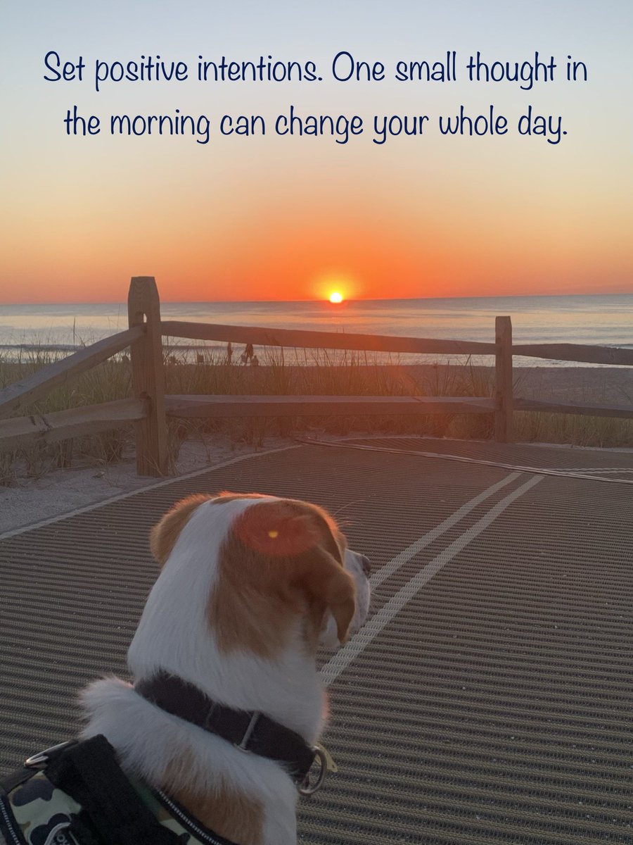 Here is the dawn of an AWesome 2020-2021 school year! #awms #180daysofAWesome