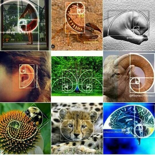 ok, enjoy these eye candies, before I get technical.