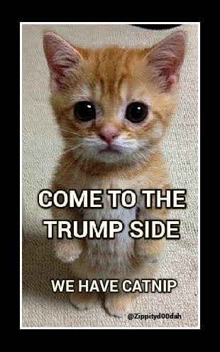 PVHenryConLLC's tweet photo. @FieryAndFun @RealCloudRF @matosortho @LordSangOne @mpukita @debraraes @BluehandRising @uOTZEZyhxd09tLx @crimsonrain210 @Lots_Of_Fun_69 @steveDalTx @Stonekeeper3 @__3_Teddy_B_DT @CallingDrLove69 @garydailydrift @QrispusAttucks @DragonFlyGlitta Disclaimer:
Paid for by #CATPAC
501(c)4 Advocacy Group
A #LegalisetheNip FEC Registered Affiliate
Donations are not tax-deductible
Statements may not reflect associated Orgs & Members
That said, they sure as Hell reflect our Opinions
#Boosh
#DreamTeam https://t.co/DoMxhsIuD0