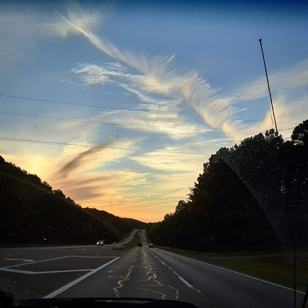 CryBurch's tweet photo. This is an absolutely beautiful bird in the clouds! #photography #clouds #picoftheday https://t.co/p3QBmruaoZ