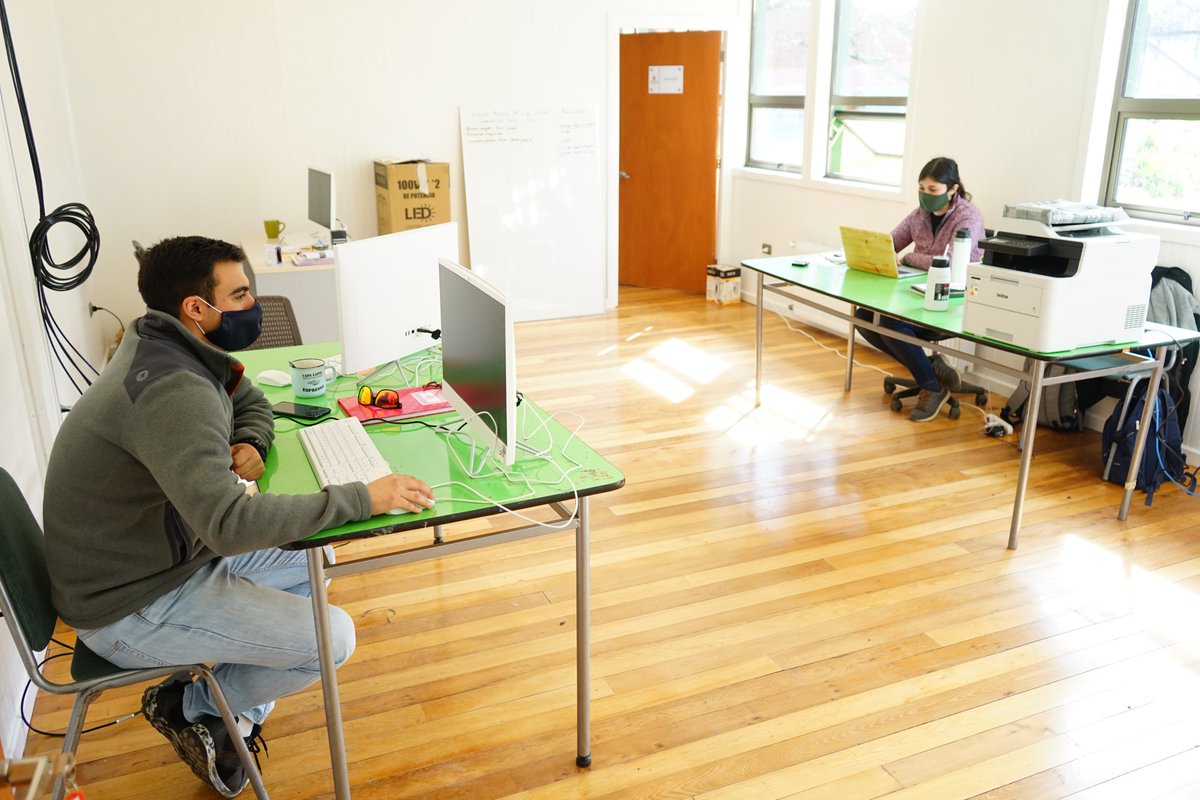 Fernando Grandón tweet media