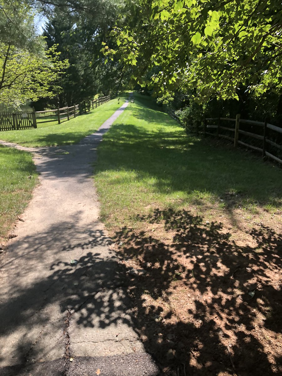 _oiti's tweet photo. today i went on my first walk after fracturing my ankle >month ago https://t.co/Pr8plbxD0Z