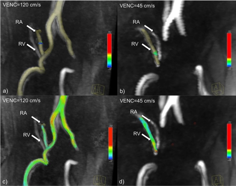Daniel Stocker tweet media