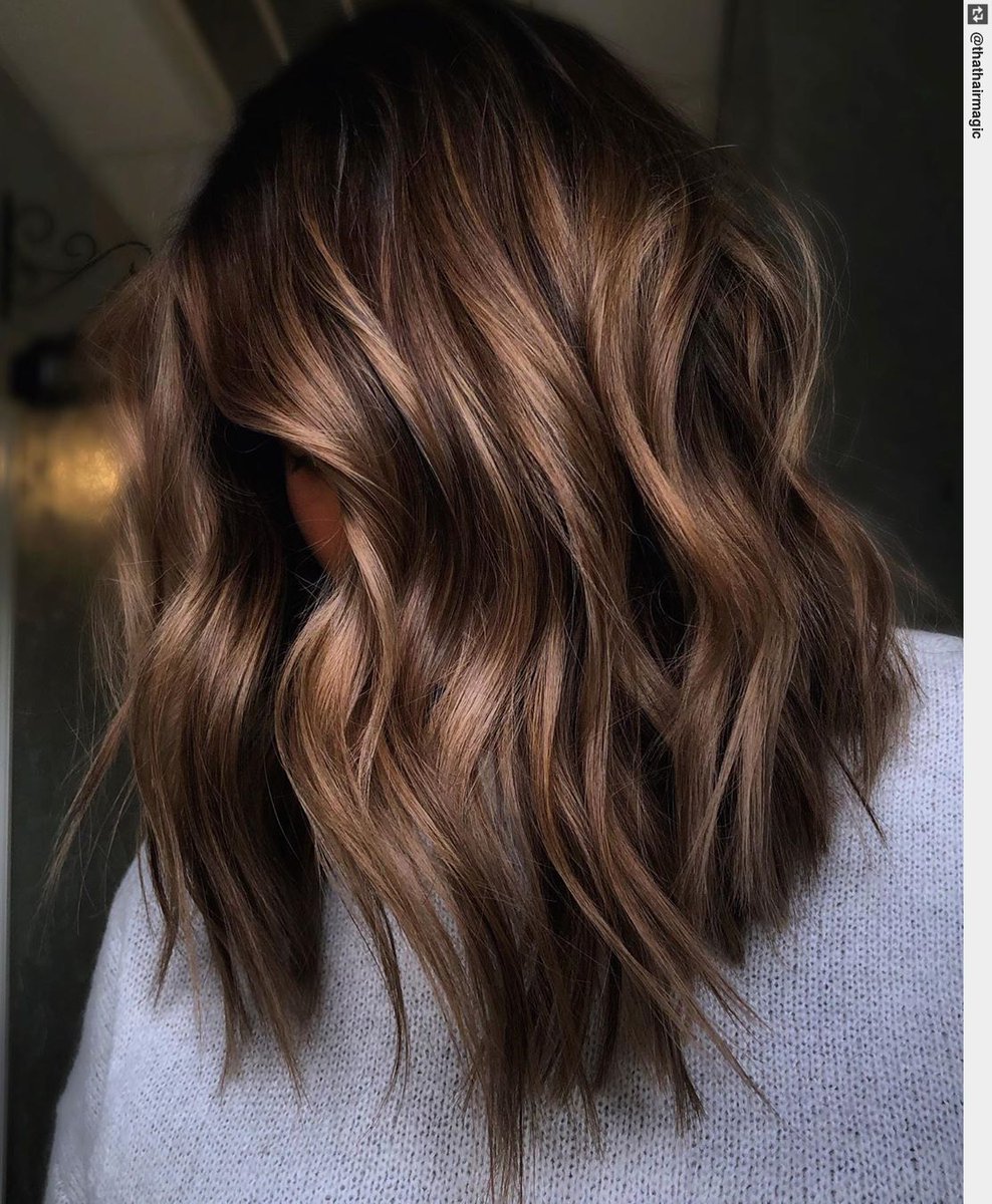betrendsetters's tweet photo. Nutella Latte . Babylights. Lowlight with SEQ 04nb, 06gi, 05nw Colormelt 03n/04nb08gi, 07nb, 08v, 07nw . #balayage #fallayage #fallhair #hairstyle #balayage #brunette https://t.co/0MhSWBubCX