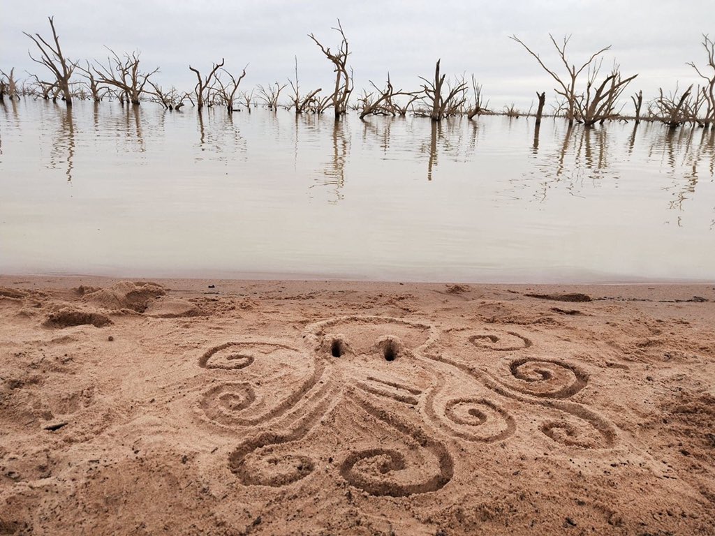 nikkidrawz_'s tweet photo. ＯＣＴＯＰＵＳ 🐙 
9/7/20
#menindee #menindeelakes #newsouthwales #australia #octopus #sanddrawing #lake #beach #art #artist #artistsontwitter #artistofinstagram #drawing #sketch #sketching #doodle #doodles #doodlesofinstagram #sculpture #sculptures #sandsculpture  #nikkidrawz_ https://t.co/JAzNlYoclX