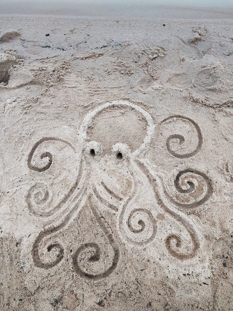 nikkidrawz_'s tweet photo. ＯＣＴＯＰＵＳ 🐙 
9/7/20
#menindee #menindeelakes #newsouthwales #australia #octopus #sanddrawing #lake #beach #art #artist #artistsontwitter #artistofinstagram #drawing #sketch #sketching #doodle #doodles #doodlesofinstagram #sculpture #sculptures #sandsculpture  #nikkidrawz_ https://t.co/JAzNlYoclX