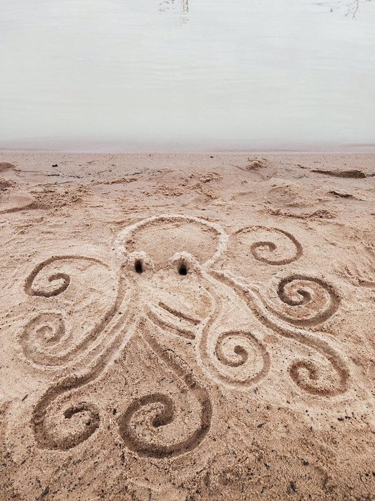 nikkidrawz_'s tweet photo. ＯＣＴＯＰＵＳ 🐙 
9/7/20
#menindee #menindeelakes #newsouthwales #australia #octopus #sanddrawing #lake #beach #art #artist #artistsontwitter #artistofinstagram #drawing #sketch #sketching #doodle #doodles #doodlesofinstagram #sculpture #sculptures #sandsculpture  #nikkidrawz_ https://t.co/JAzNlYoclX