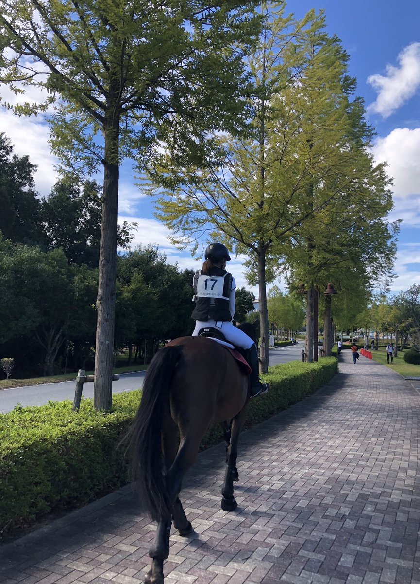 大阪市立大学馬術部 Uma Uma Ocu Twitter