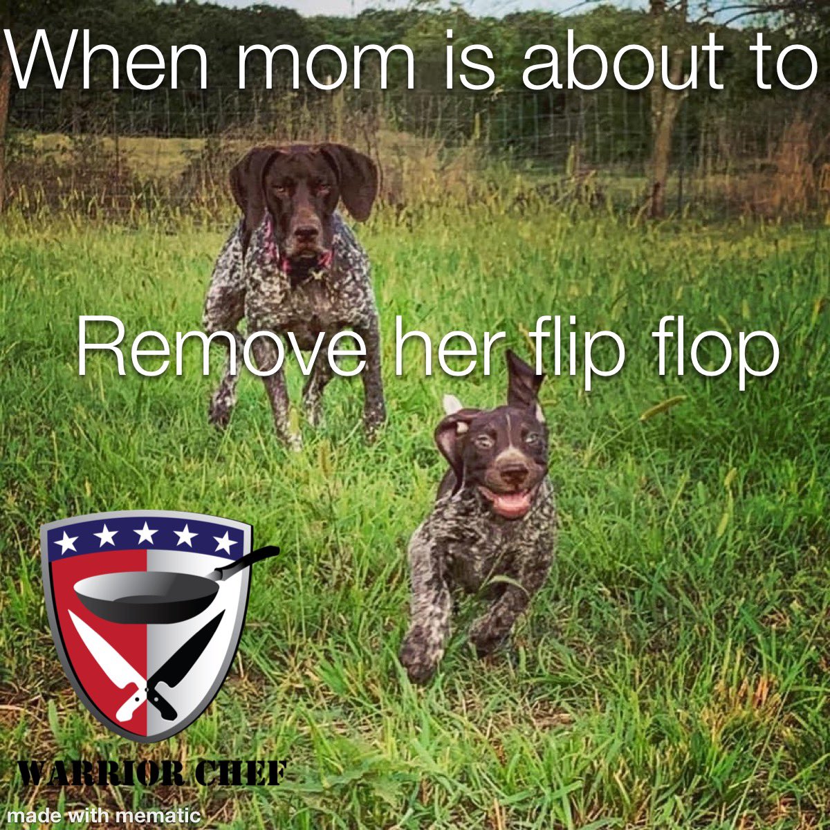 THEwarriorchef's tweet photo. Behave kids! https://t.co/SFLGDN36EJ