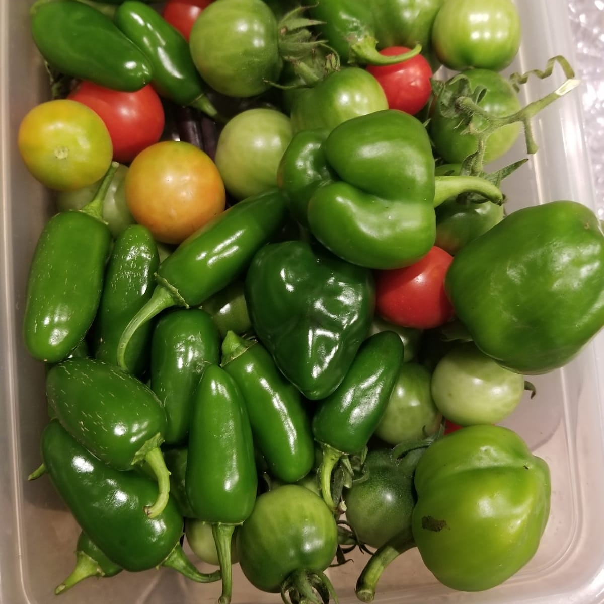 NotDoneYetQ's tweet image. #kuttingweight .... let's get it.  Amazing weight loss product.