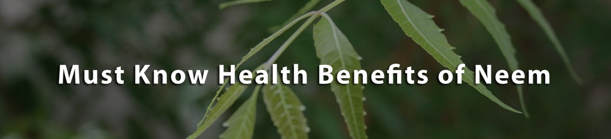 UCSNeemWoodComb's tweet photo. Must Know #HealthBenefitsofNeem
Popularly known as '#PharmacyTree', #Neem tree is actually packed with numerous medicinal benefits. Every part of this plant like leaves, flowers and twigs is used in #personalcare...
#haircomb #neemwoodcomb
https://t.co/yNeLvqJv9G https://t.co/CxfLT7L8Ky