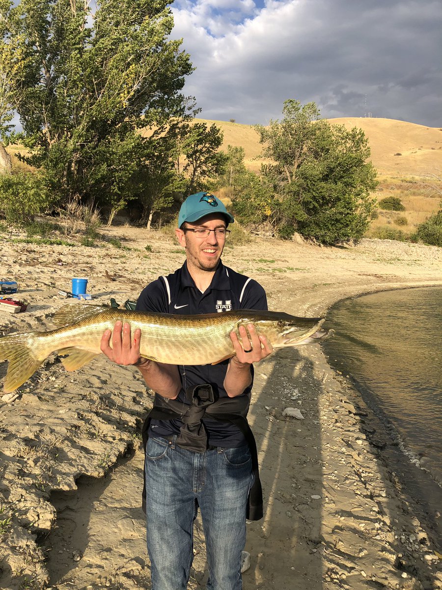 AndrewOutdoors1's tweet photo. Caught my fist two Tiger Muskie tonight! #OutdoorsWithAndrew #NewtonDam #Fishof10000casts #TigerMuskie https://t.co/6BqUUMel0J