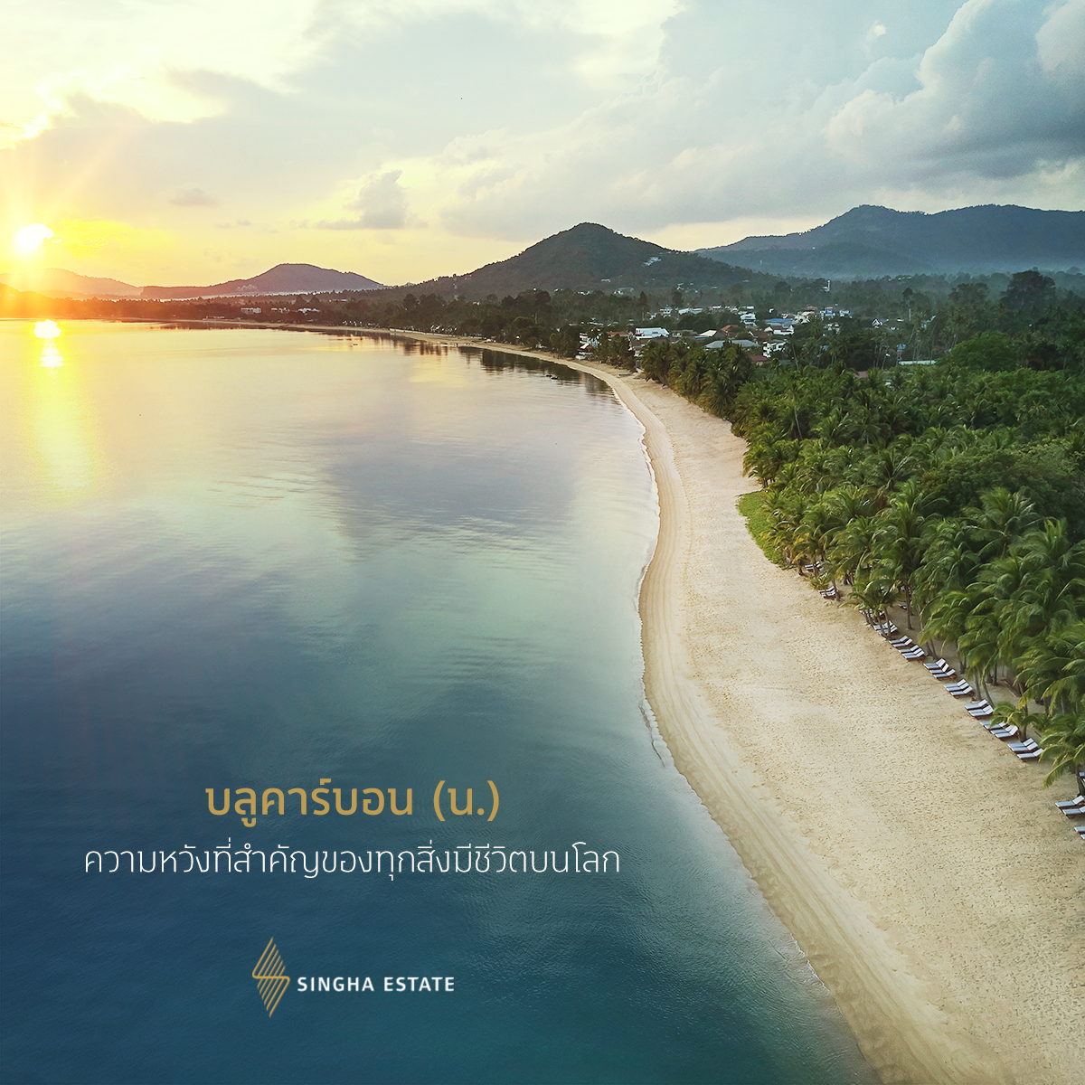 SINGHA ESTATE tweet media