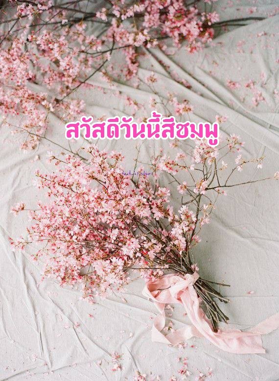 anuthida2518's tweet photo. พึ่งรู้ว่าหมายเลขโทรศัพท์ เดียว สามารถใส่ลงในทวิตได้ 10 ชื่อ รู้งี้ทำนานละ https://t.co/E2JkdE9QdB