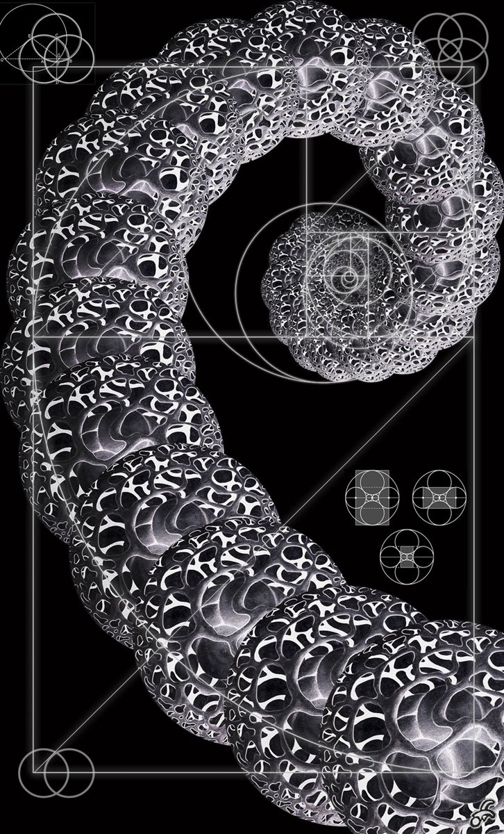 ok, enjoy these eye candies, before I get technical.