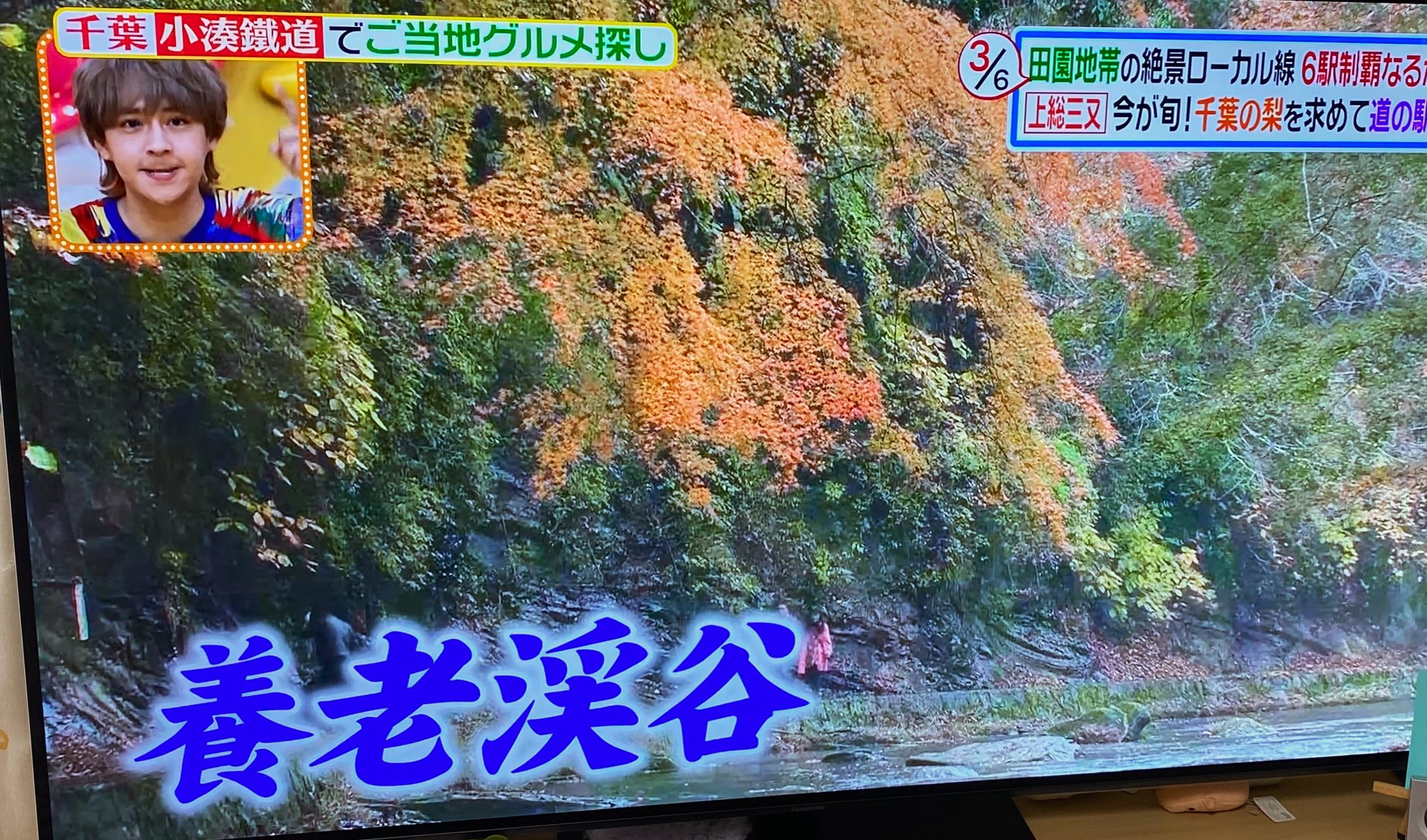 下山和人 チケット配りおじさん בטוויטר 秋の行楽時季に向けてご当地グルメ探しで養老渓谷が紹介されてるー 我が社ホテルグリーンヒル大多喜に程近い観光スポット 小湊鉄道 大多喜町 ヒルナンデス T Co Ccxezzu0ja