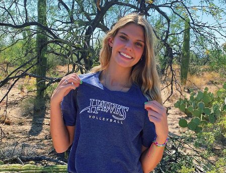 AndyMorales8's tweet photo. Canyon del Oro standout setter Katie Call @CdOHighSchool @CDOVolleyball @AthleticsCdo @AmphiSchools commits to play for San Diego Christian      @sdcchawks https://t.co/BnjPVMpCWe https://t.co/hotwvBAaXw
