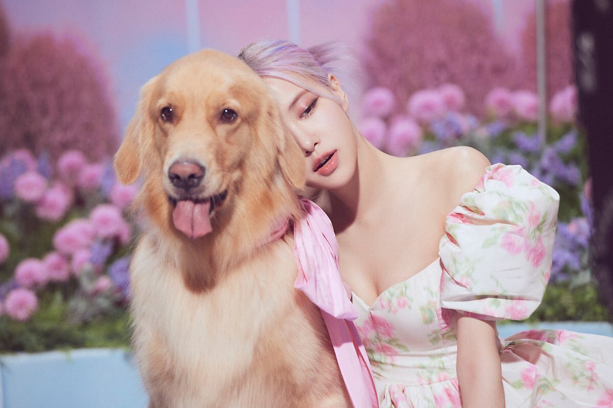 rosie_pss's tweet photo. นางฟ้าจากไหนหนีลงมาเล่นบนโลกคะเนี้ย สวยเกินไปแล้วนะ🥺 #rosé #로제 https://t.co/rMMM7ZDLrL