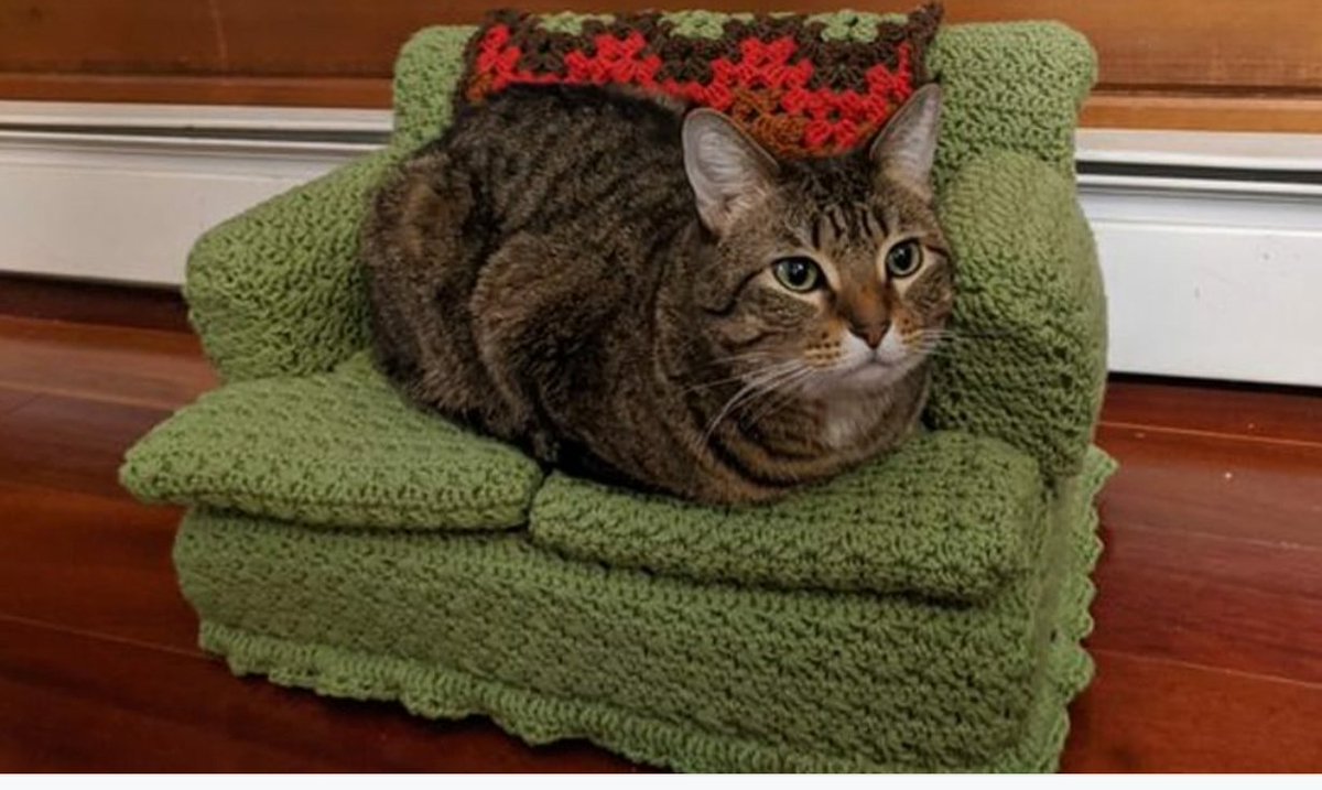 dharmabone's tweet image. 