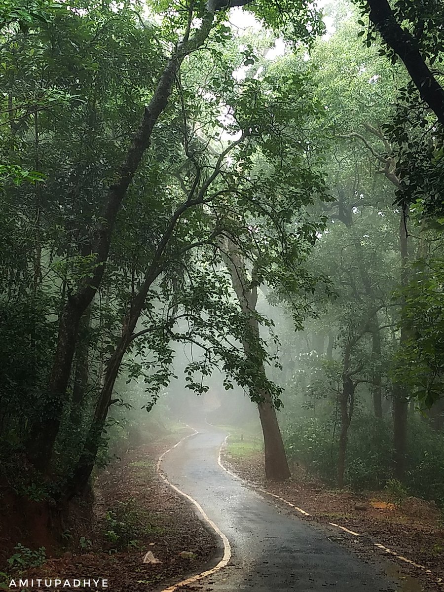 AmitSUpadhye's tweet photo. #eia2020draft The Karnataka Biodiversity Board Chairman Ananth Hegde Ashisara has written to Chief Minister @BSYBJP requesting him to  convince the Centre on dropping the EIA amendments 2020 in the interest of ecology @PrakashJavdekar @aranya_kfd @santwana99 @XpressBengaluru https://t.co/bdT7d3aGOC