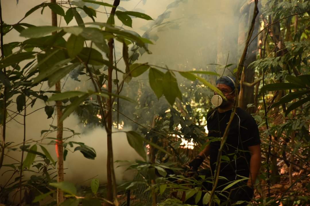 naturetalksback's tweet photo. Great news! Our article, "Persistent mosquito fogging is detrimental to non-target invertebrates in an urban tropical forest" has been accepted for publication in the Open Access journal @thePeerJ https://t.co/HrqL7YStfT