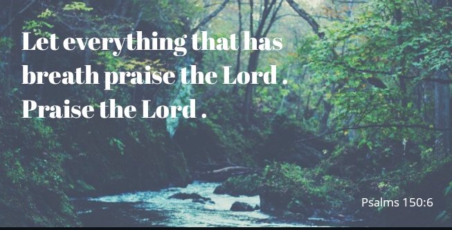 Citam_Woodley's tweet photo. Let everything that has breath praise the Lord . Praise the Lord
Retweet if you have breath
Like if God has been good to you
#PraiseWeek https://t.co/8P6dDNsbyP