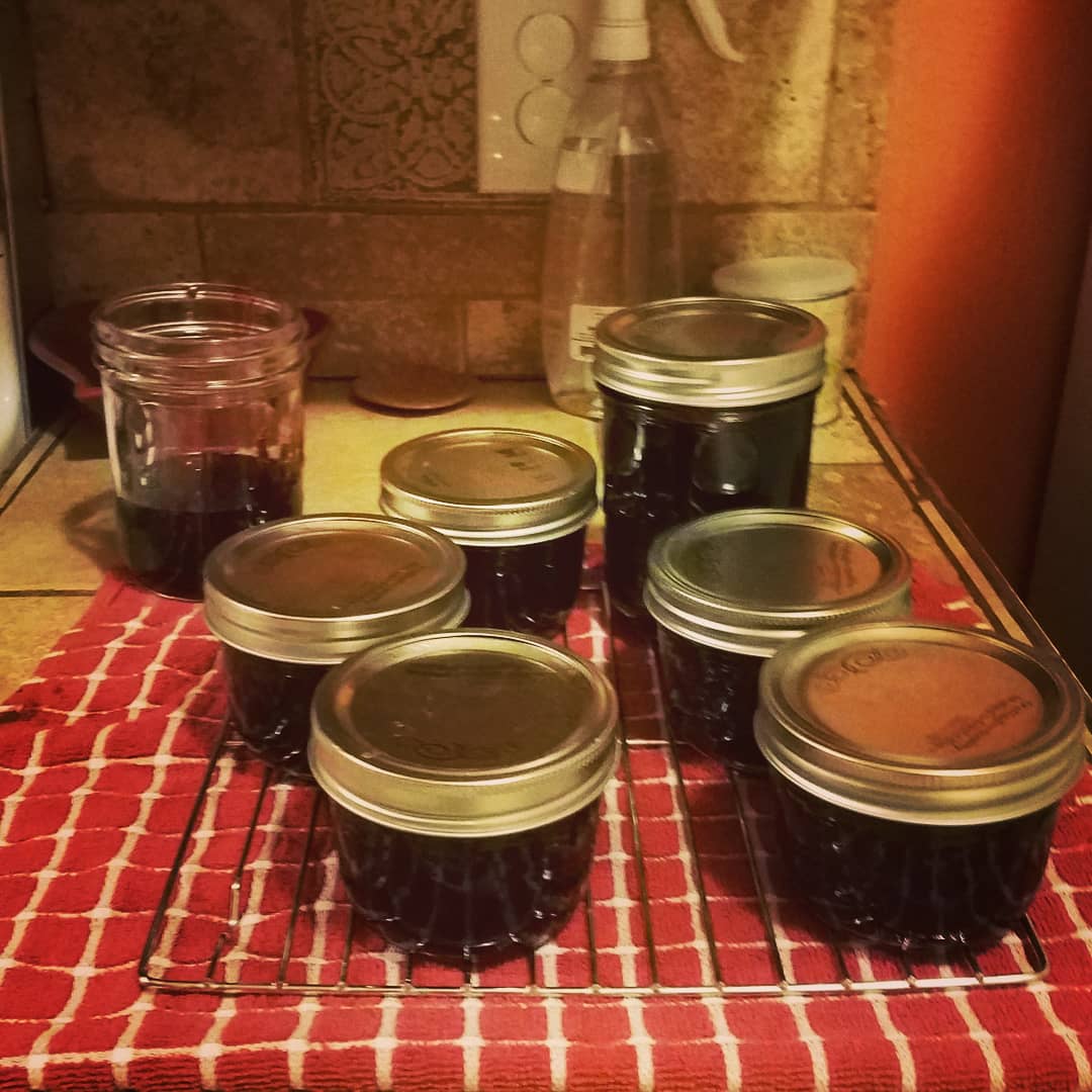 TheHawkLad's tweet photo. This labor day weekend I picked Blackberries then turned them into Jelly! https://t.co/hBSnFfr8c9