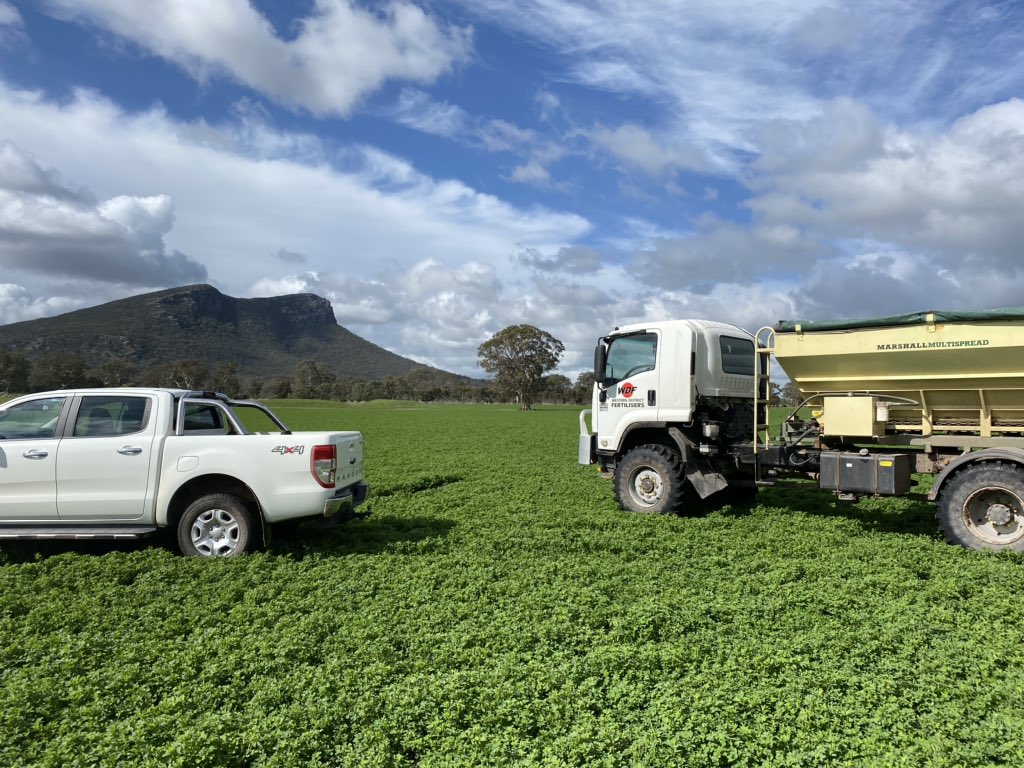burtontim's tweet photo. Lucerne looking healthy https://t.co/L9dYGRAqT9