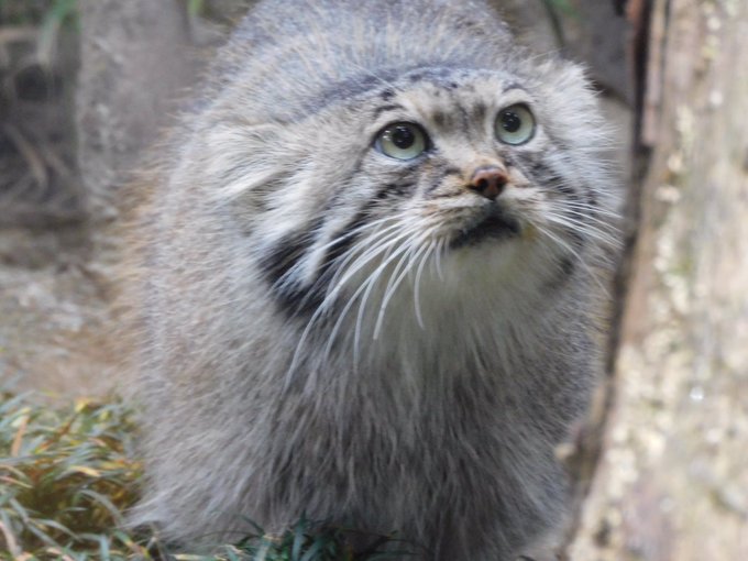 那須 高画質 のtwitterイラスト検索結果 古い順