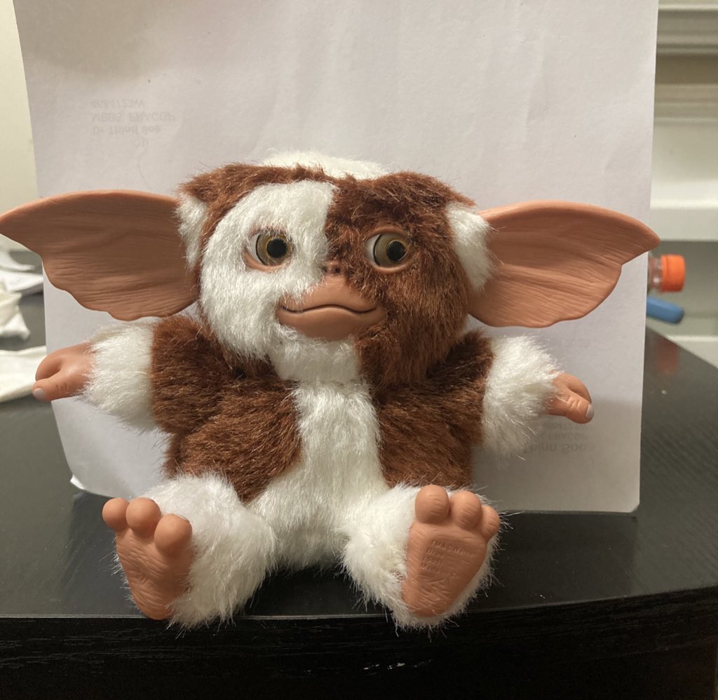 perthovalman's tweet photo. What’s the 3 rules again ? Feed them at midnight ? Give em a bath. Make sure they get plenty of sunshine ☀️😁 picked this little gizmo up today. Was at my newsagent 🗞#gizmo #mogwi #gremlins #gremlins2thenewbatch https://t.co/WexKTQEQ21