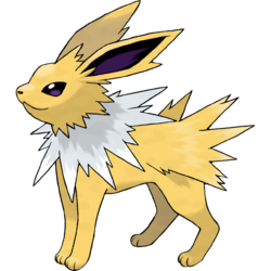  Chan (TOO) - Jolteon 