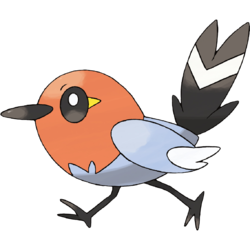  Chihoon (TOO) - Fletchling 