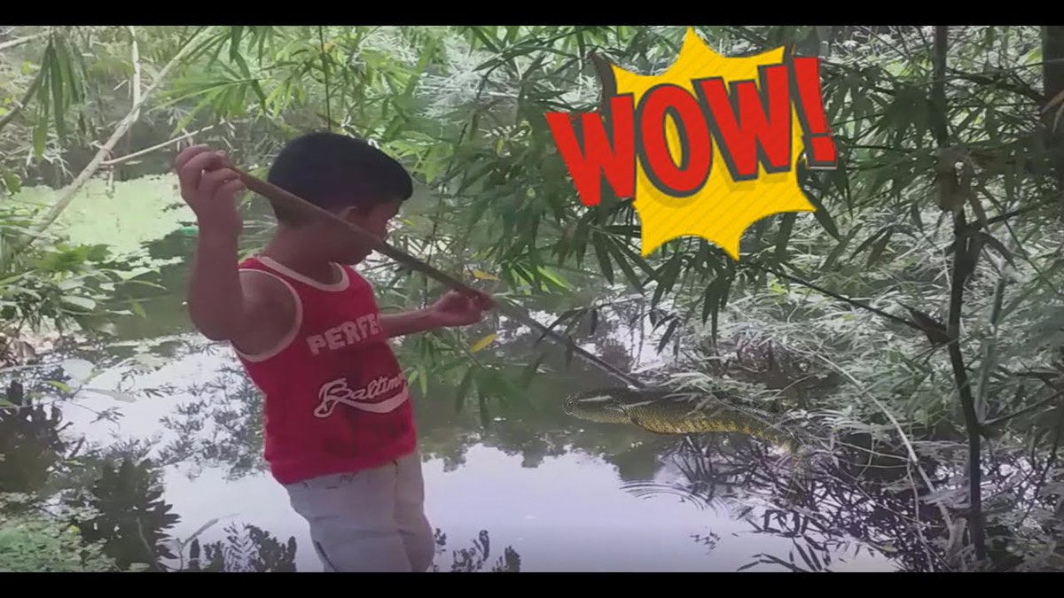 best skils fishing video by village।বর্ষার পানিতে টেটা দিয়ে মাছ ধরার ভিডিও youtu.be/eCRIEwoDpqg via <a href="/YouTube/">YouTube</a>