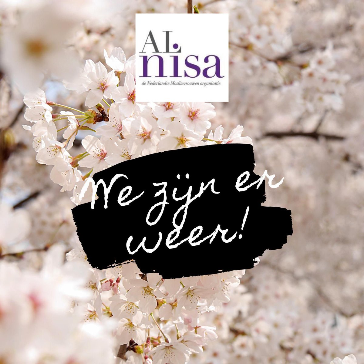 ٱلسَّلَامُ عَلَيْكُمْ  
Na een welverdiende zomerstop zijn de dames van Al Nisa weer terug!  Vol met energie gaan we er tegenaan In sya Allah. Houd onze socials goed in de gaten voor content over islam, vrouwen en vrouwen in islam. Fijne dag! #alnisa #moslimvrouwen