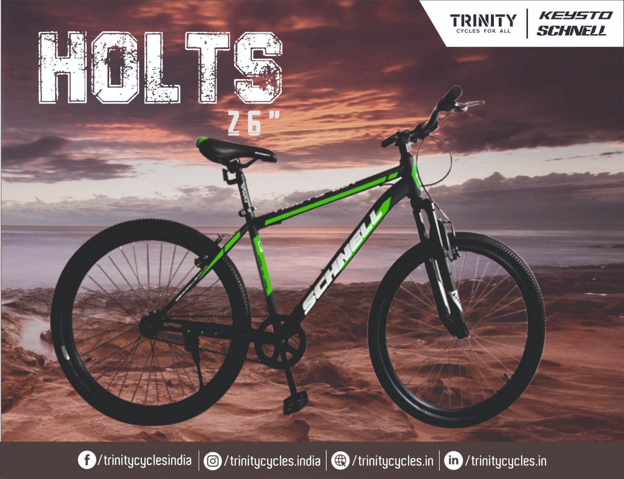 Schnell cycle holts 001 sale