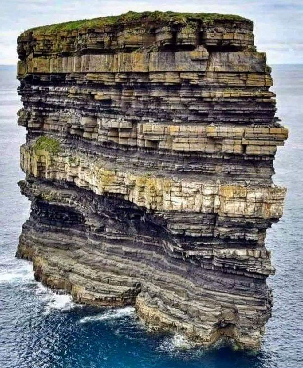 Nature_Is_Lit's tweet photo. 🔥 350 million years in a photo! https://t.co/5jaoY034N1