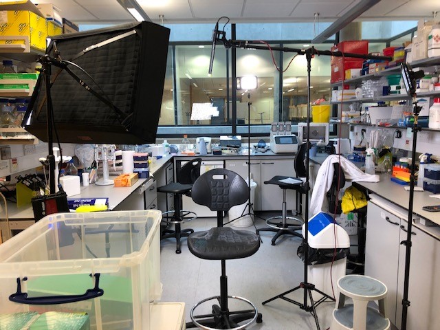 This is where  @TheBlagdenlab got involved. We wanted to fully understand the biology of NUC-7738 in cancer cells and patients.  @schwehag painstakingly explored this using high-throughput sequencing and gene-trap technology