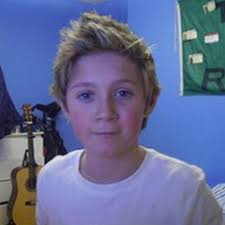 Niall James Horan:He taught us to always smile and be free,and to speak out what we want to.