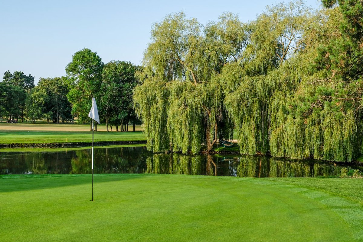 golfers_reviews's tweet photo. Golf review - 🇫🇷 Golf de Saint-Nom-la-Bretèche
Tags: #golf #golfing #golfcourse #golfStagram #golffun #golfcourseReview #golfgems #golfcourseOfTheDay #golfdeSaintNomlaBretèche #fredHawtree #golfFrance #golfEurope
Played it? Rate it! https://t.co/gjXlUHvbrA https://t.co/8LG03sx8Ns