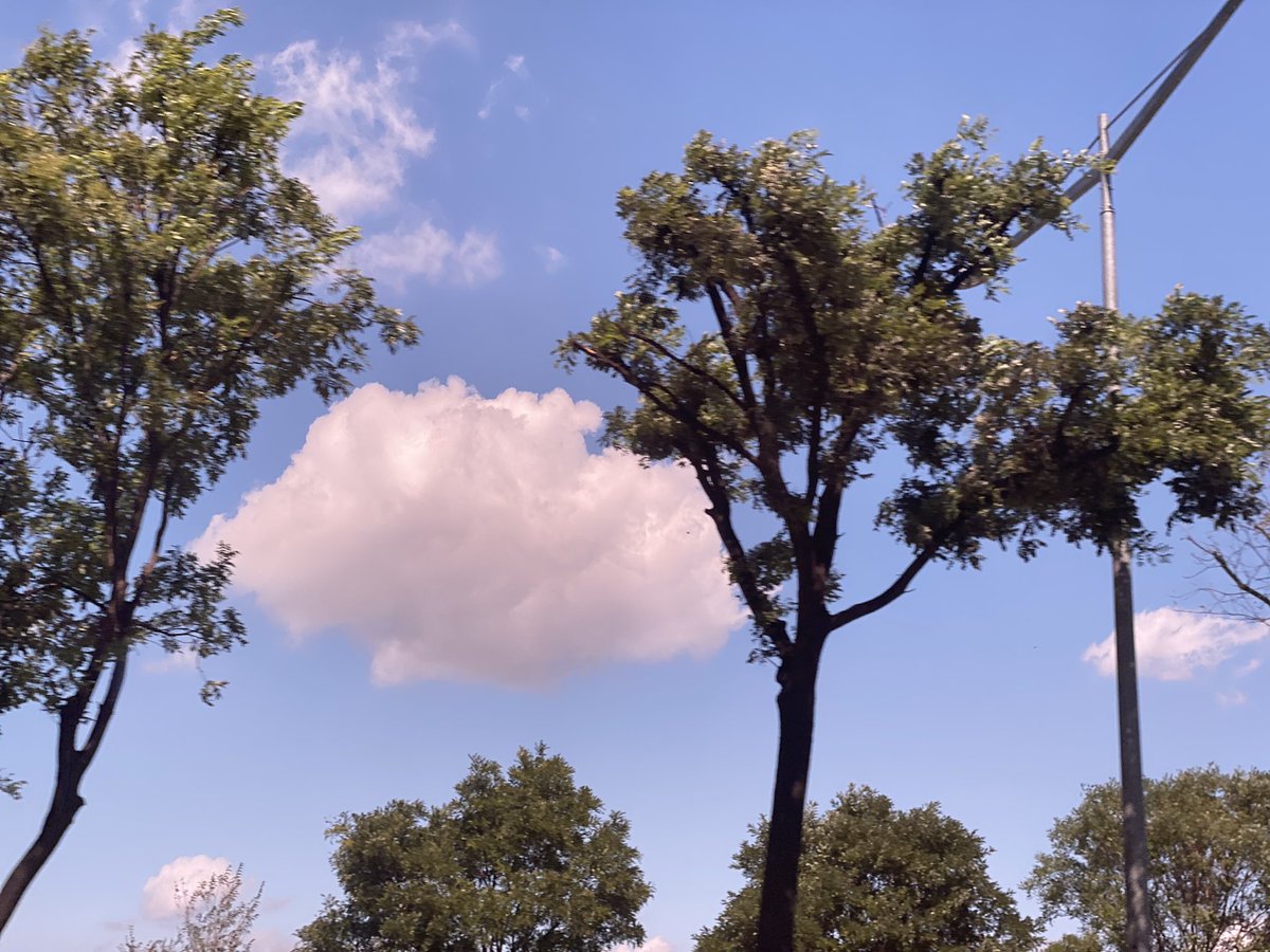 #⃞도데일리
this is a movie set, right... isn't this the truman show... everyone is acting except me, right...... cause there's no way a cloud can look like a set prop like that one
#LookAtTheSky https://t.co/MKNmqciL3c