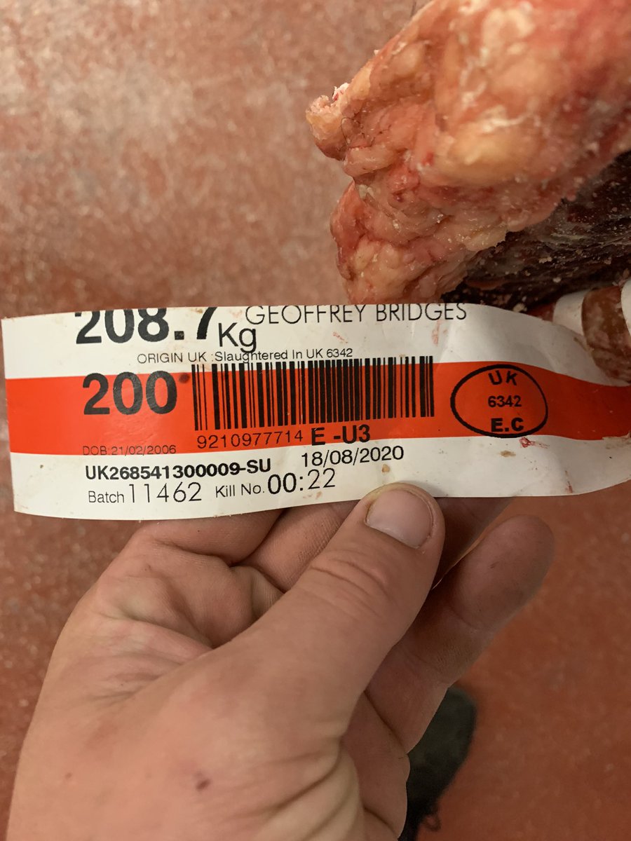 Born in 2006 looks like he’s had a good life 🙂