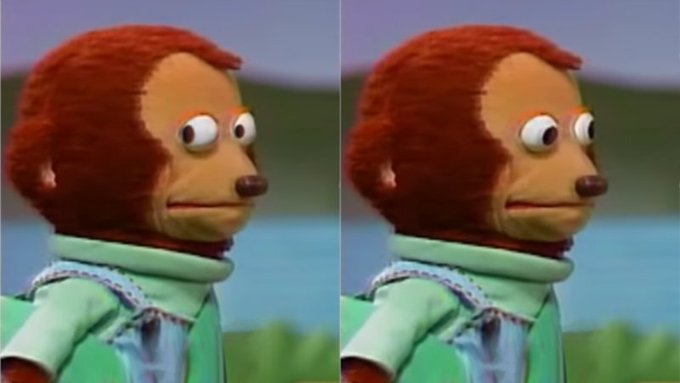 Monkey nervously glancing side to side
