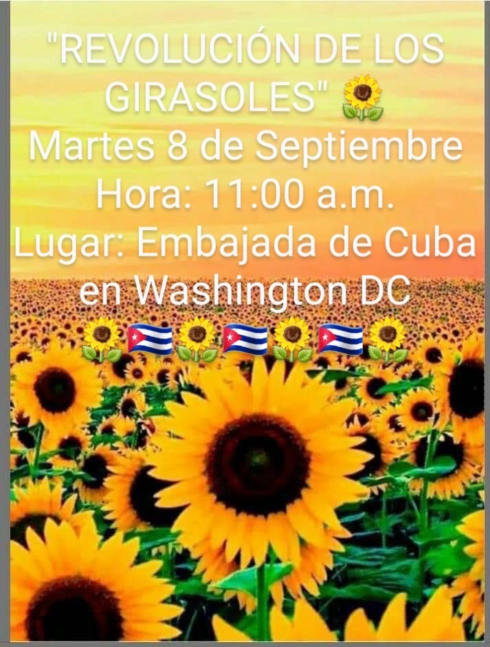 In Washington DC activists will be gathering in front of the Cuban Embassy at 11:00am.  https://cubanexilequarter.blogspot.com/2020/09/sunflower-uprising-cuban-dissidents.html 16/