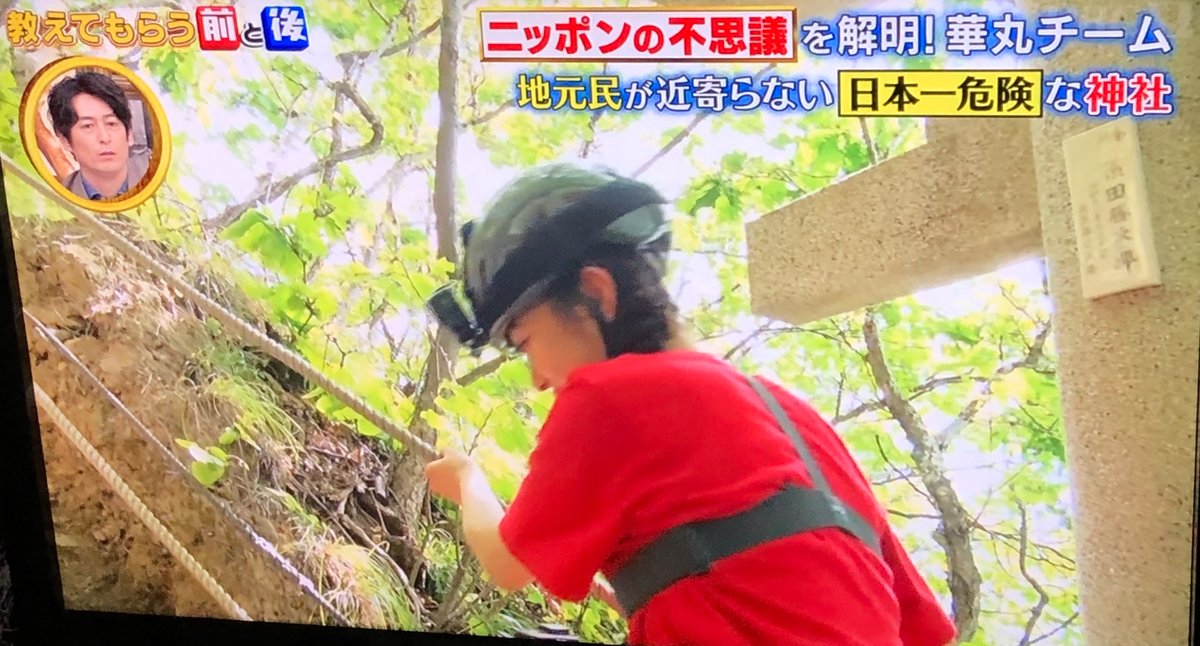 山のフドウ あ テレビ見てたらわが町 乃木坂も登ったのよねー 登ったみんな お仕事順調 乃木坂の快進撃はこの神社のおかげ ってならないかな 教えてもらう前と後 井上咲楽 いのさく 乃木坂46 西野七瀬 秋元真夏 深川麻衣 生田絵梨花 山のフドウ あ テレビ見てたらわが町 乃木坂も登ったのよねー 登ったみんな お仕事順調 乃木坂の快進撃はこの神社のおかげ ってならないかな 教えてもらう前と後 井上咲楽 いのさく 乃木坂46 西野七瀬 秋元真夏 深川麻衣 生田絵梨花