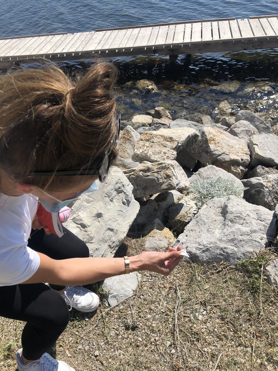 Séminaire d’équipe en <a href="/Occitanie/">Région Occitanie</a> masques 😷 et grands espaces au soleil à <a href="/villedesete/">Ville de Sète</a> ! On refait le plein d’énergie pour une nouvelle année avec l’ @Inst_Telemaque #teamdefou #egalitedeschances #ess