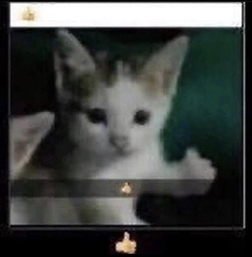 ZipBluePanda's tweet image. 